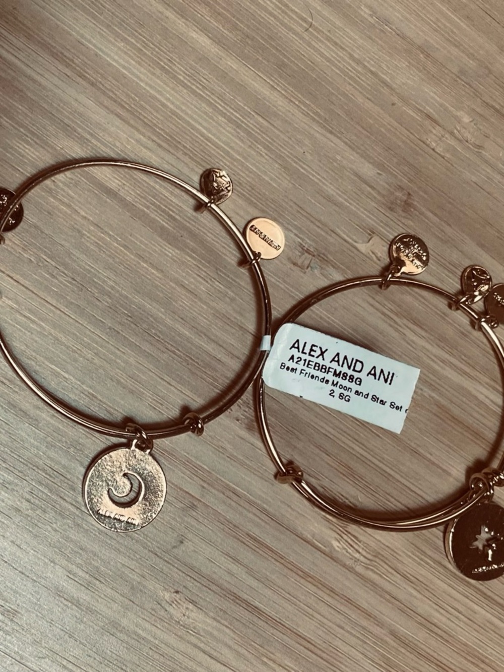 Alex and Ani Best Friends Moon and Stars Bangle Set